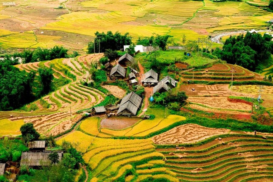 From Hanoi: Sapa 3-Day Medium Trek and Limousine Trip - Day 2: Muong Hoa Valley and the bridge crossing to Y Linh Ho, then on to Lao Chai and Ta Van