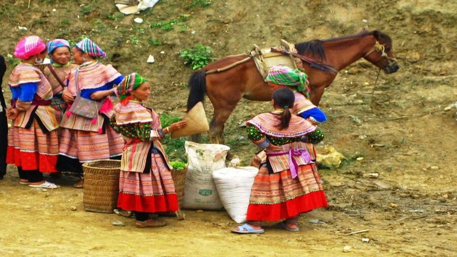 From Hanoi: Sapa 3-Day Medium Trek and Limousine Trip - Guides, pace, and the real value of local guidance