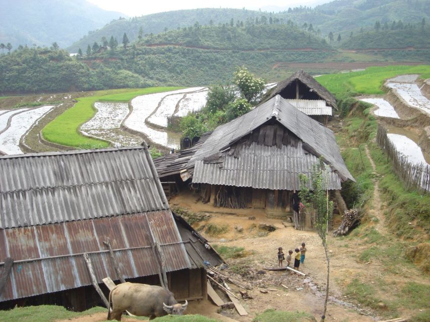 From Hanoi: Sapa 3-Day Medium Trek and Limousine Trip - Price and value at about $165 per person