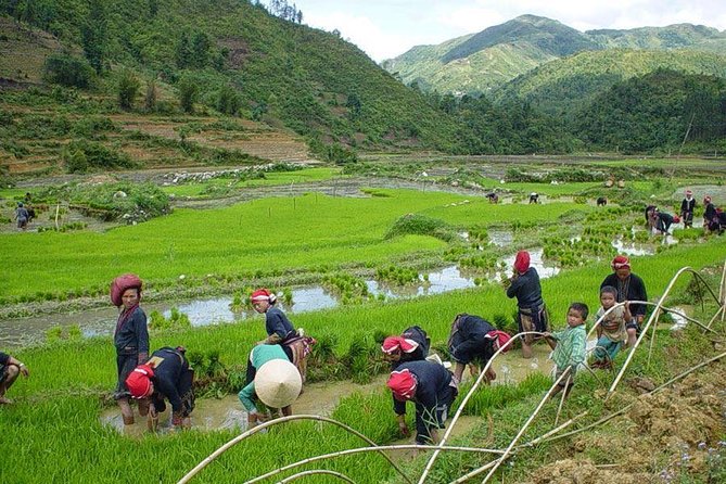 From Hanoi: Sapa Real Experience 2-Day 1 Night at Ethnic Homestay - Hanoi pickup at 6:30, then the overnight rhythm to Sapa