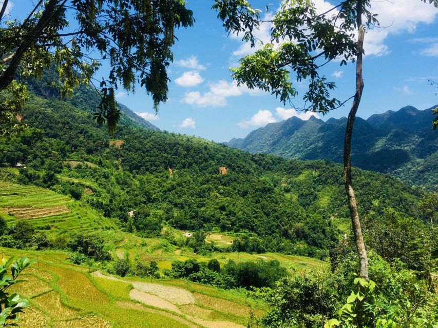 From Hanoi to Pu Luong: 2-Day Trip in Ethnic Villages - Day 2 Breakfast, Check-Out, and the Kho Muong Village Morning