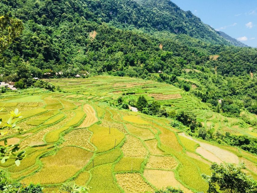 From Hanoi to Pu Luong: 2-Day Trip in Ethnic Villages - Midday Return to Hanoi: Pool Time and a Last Lunch