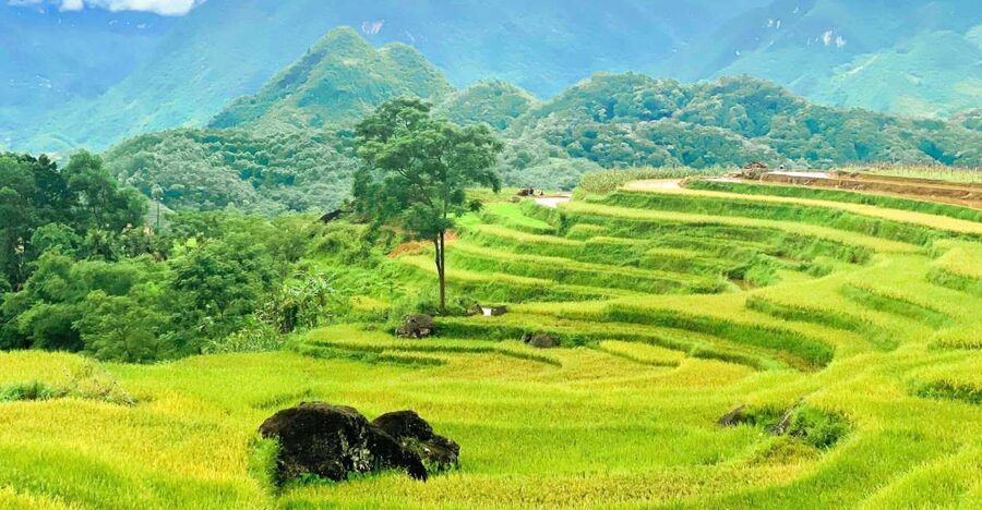 From Hanoi to Pu Luong: 2-Day Trip in Ethnic Villages - Hanoi Pickup, Early Start, and the “First Views” Plan