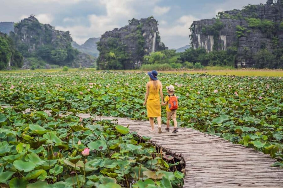 From Hanoi: Trang An Eco-tourism -Bai Dinh pagoda & Mua Cave - Mua Cave: 500 steps, a serious climb, and the view you came for