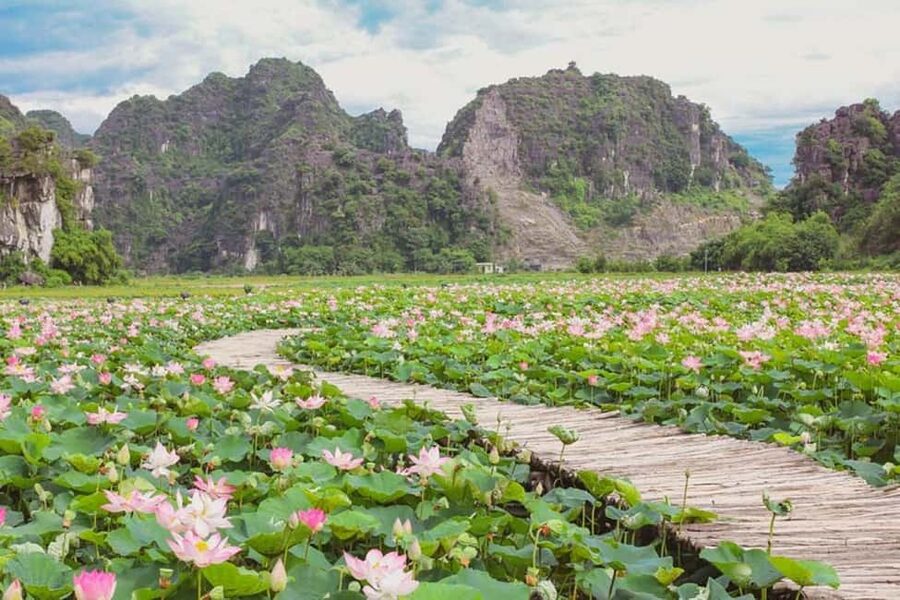 From Hanoi: Trang An eco-tourism - Hoa Lu ancient & Mua Cave - Who this tour fits best