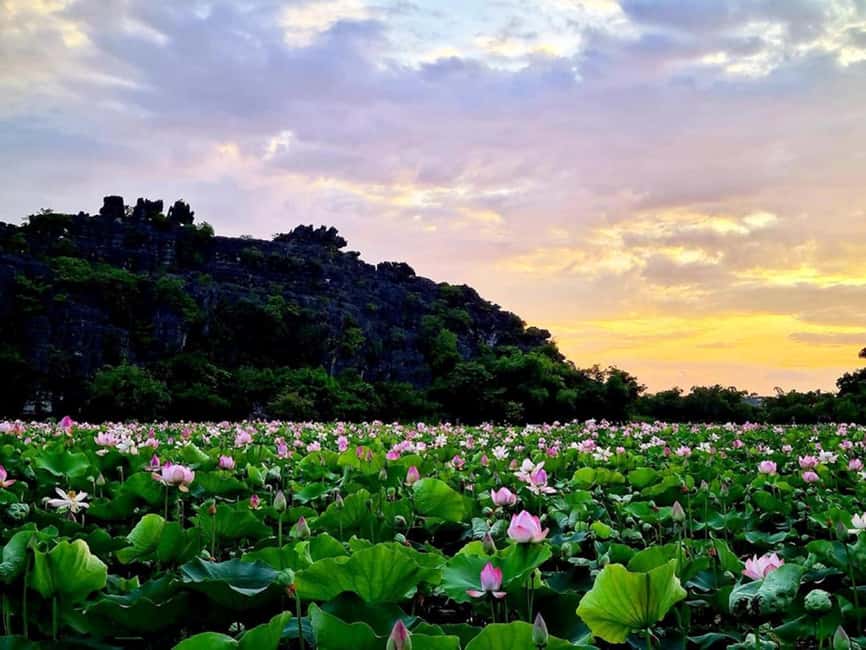 From Hanoi: Trang An eco-tourism - Hoa Lu ancient & Mua Cave - Price and value for a full-day highlights loop from Hanoi