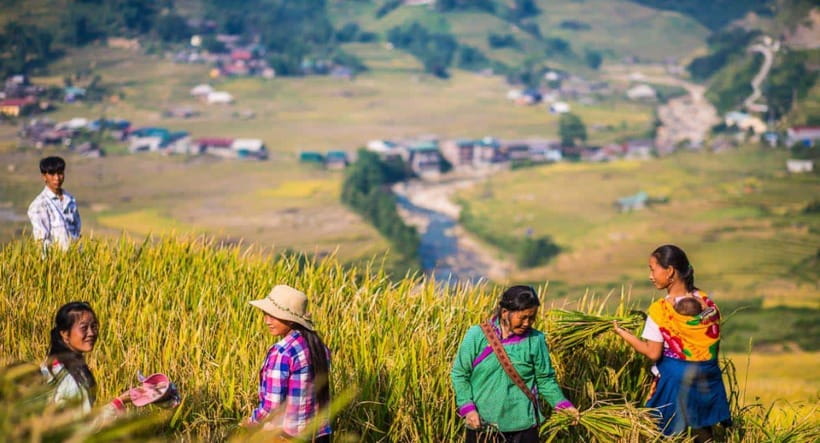 From Hanoi: Trek and Stay: 3-Day Sapa Highlands Adventure - Day 3: Red Dao villages with an 8 km trek and big payoff views