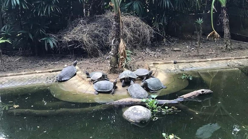 From Ninh Binh: Cuc Phuong - Van Long Reserve - Small Groups - Group size, guides, and how the day is managed