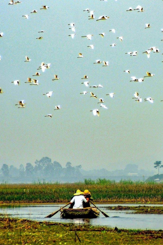 From Ninh Binh: Visit Cuc Phuong National Park - Van Long - Getting Picked Up in Ninh Binh: Timing and Meeting Your Driver