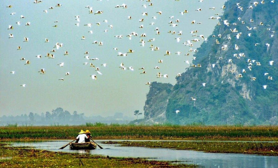 From Ninh Binh: Visit Cuc Phuong National Park - Van Long - Price and Value: What the $68 Covers (and What It Does Not)