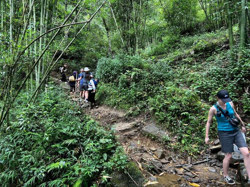 From Sa Pa: One Day Fansipan Mountain Trek - Rainforest Steps, Streams, and the Pace Your Guide Can Adjust