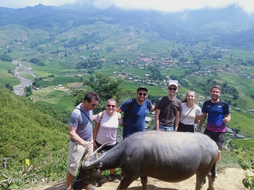 From Sapa : 1 Day Amazing Sapa Trek To Terrace rice field - Key things to know before you go
