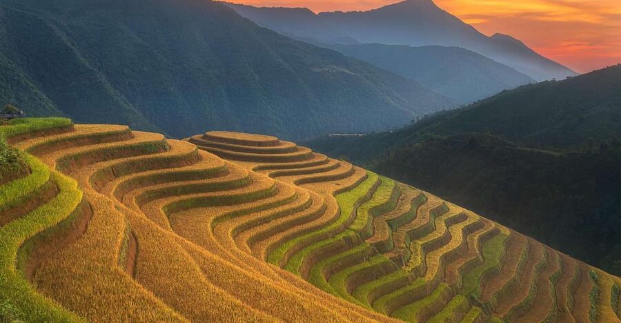 From Sapa: 1-Day Guided Trek to Lao Chai & Ta Van with Lunch - Pickup, timing, and how the day starts in Sapa town