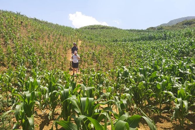 From Sapa: 2-Day Trek Through Authentic Villages in North - Sapa - How to set yourself up for the best two days