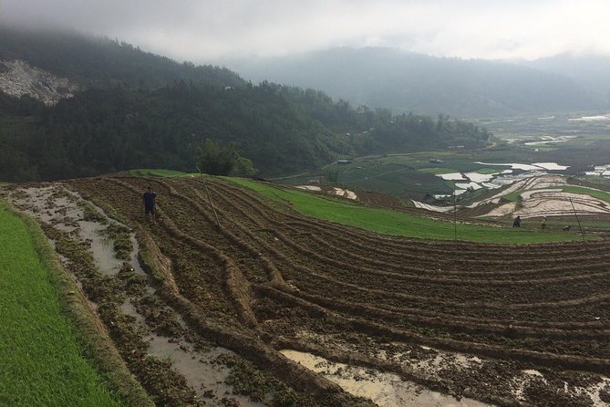 From Sapa: 2-Day Trek Through Authentic Villages in North - Sapa - Rice terraces plus a family homestay, not a staged show