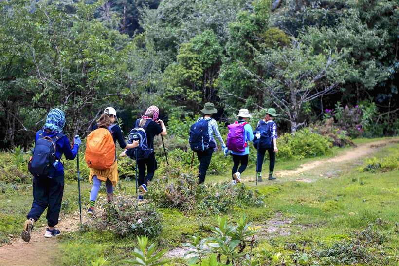 From Sapa: Fansipang Mountain Hike 1 Day - Key Highlights You’ll Feel Fast