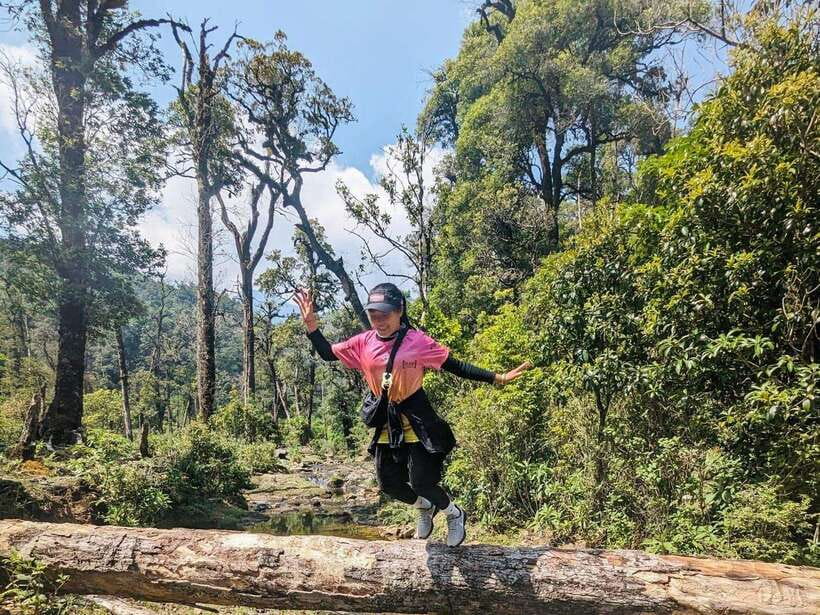 From Sapa: Fansipang Mountain Hike 1 Day - Difficulty and Who This Suits Best