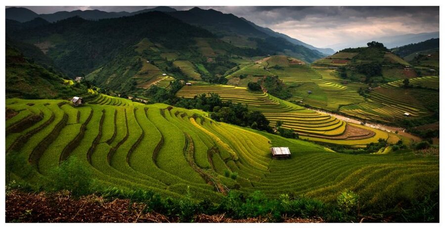 From Sapa: Terrace Fields and Local Villages Trek with Lunch - Quick highlights
