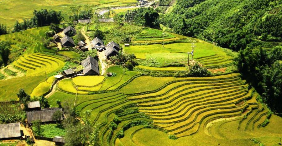 From Sapa: Terrace Fields and Local Villages Trek with Lunch - Sapa pickup, timing, and the town walk before the trails