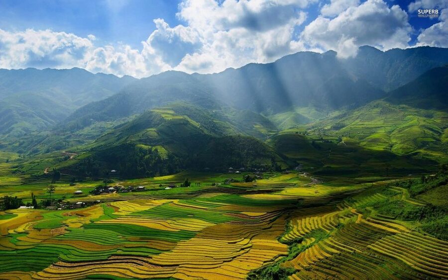 From Sapa: Terrace Fields and Local Villages Trek with Lunch - Waterfall breaks, bamboo paths, and the slippery fog reality