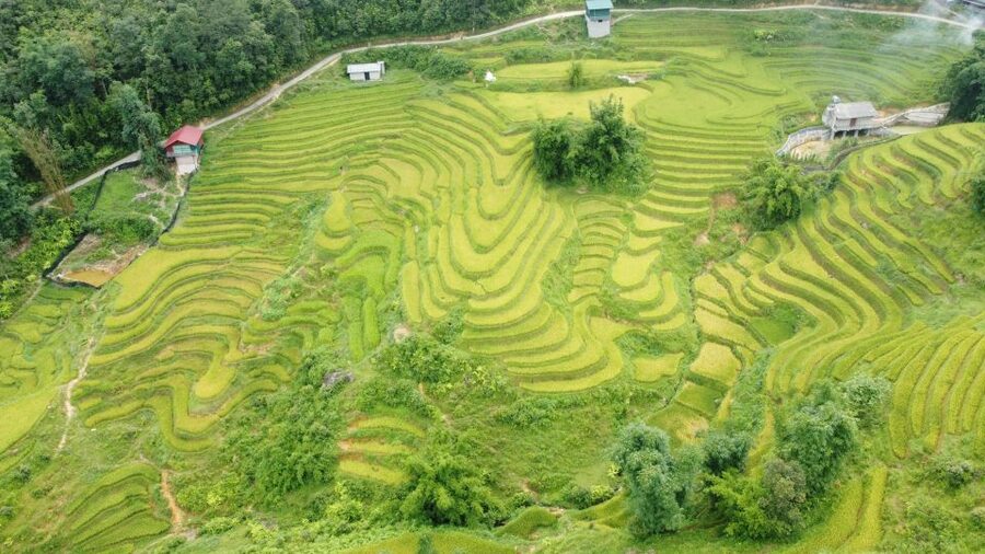 From Sapa: Terrace Fields and Local Villages Trek with Lunch - Lunch at a local restaurant, plus drink planning