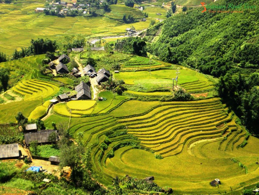 From Sapa: Terrace Fields and Local Villages Trek with Lunch - Price and value at about $22 for a full day