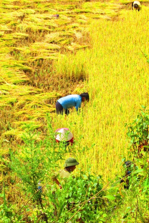 From Sapa: Waterfalls, Trekking and Tribal Villages Tour - Getting out of Sapa quickly: Tram Ton Pass and two waterfalls first
