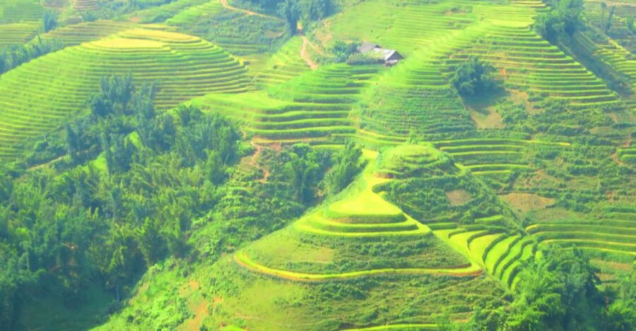 From Sapa: Waterfalls, Trekking and Tribal Villages Tour - Ban Khoan to the Red Dzao village area: rice paddies, trails, and village paths