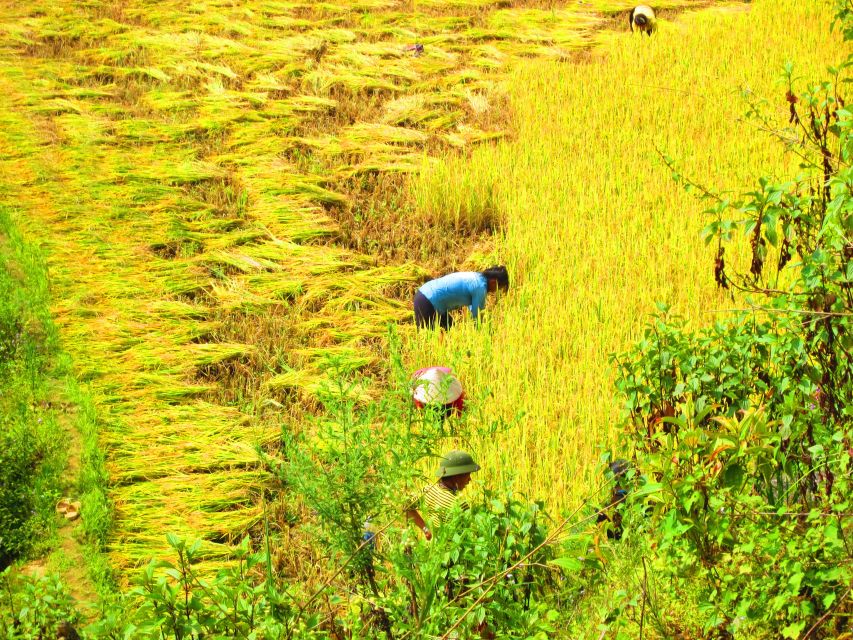From Sapa: Waterfalls, Trekking and Tribal Villages Tour - Price and value at $72: what you pay for, what you still handle