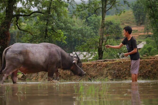 Full Day Cultural Tour in Sapa Terraces - Key things that make this Sapa day tour work
