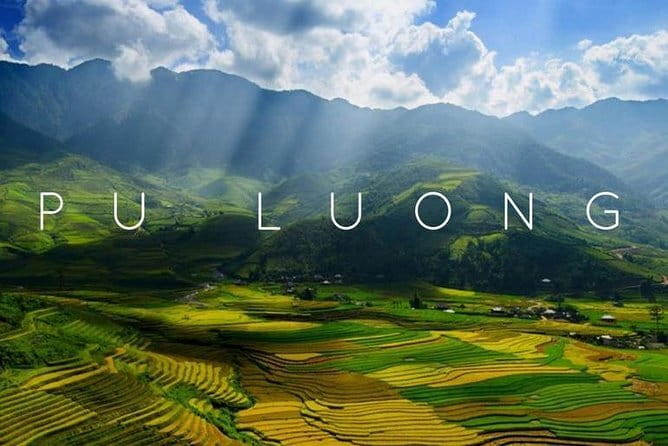 Full Day Explore Bai Tu Long Bay With Cave And Kayaking From Hanoi - Lunch cruise to Mat Quy and Teapot islets