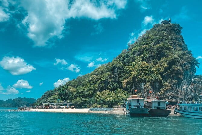Full Day Private Tour in Halong with Lunch - Price and logistics: is $220 per person good value?