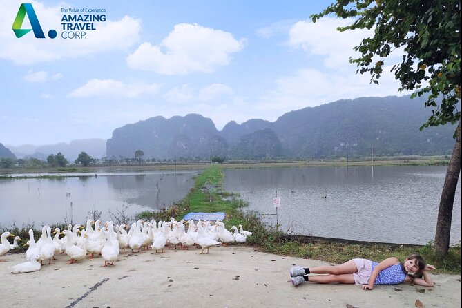 Full Day Private Tour in Ninh Binh(Trang An-Bich Dong-Mua Cave) - Bich Dong Pagoda: Buddhism Origins, Cave-Side Views, and Storytelling