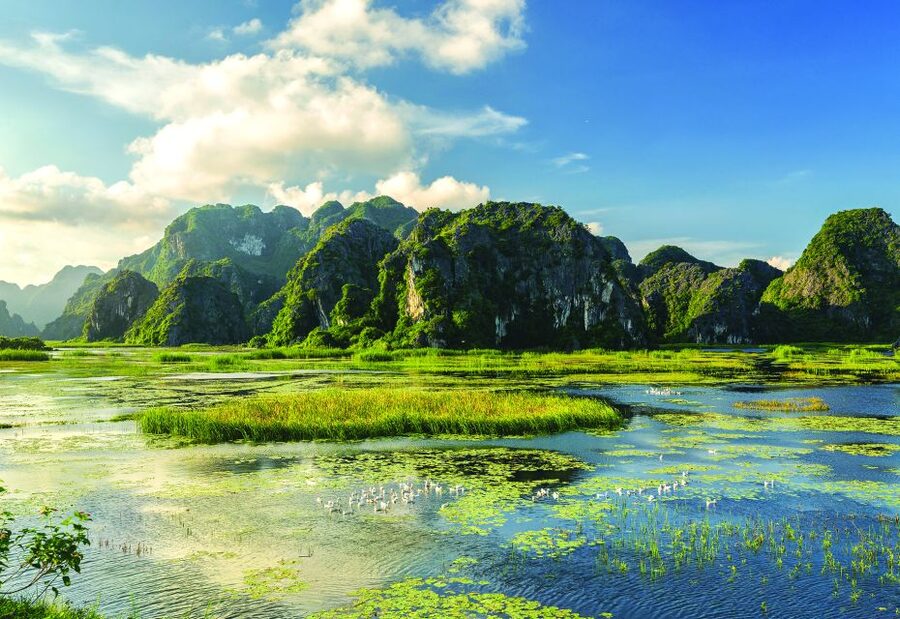Full Day Trang An, Bich Dong Pagoda, Biking & Family Visit - The Family Visit: Where the Day Gets Human