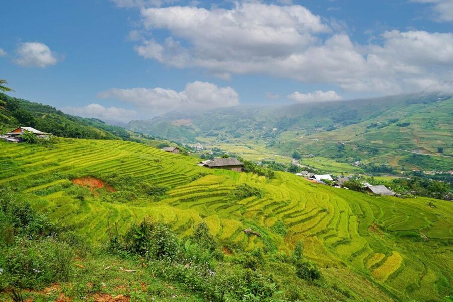 Full Day Trekking Lao Chai-Ta Van and Cat Cat Village - The Big Idea: Two Village Treks, One Sapa Day