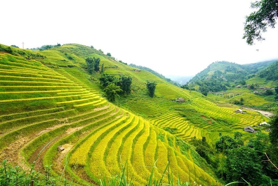 Full Day Trekking Lao Chai-Ta Van and Cat Cat Village - Stop by Stop: Lao Chai, Then Ta Van in the Muong Hoa Valley