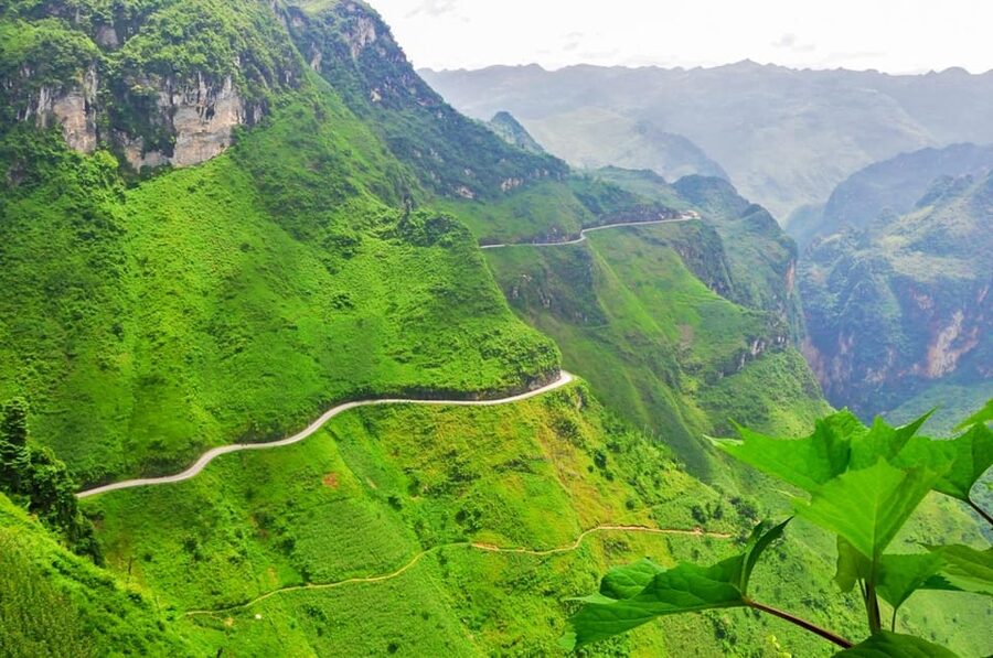 Ha Giang Loop Tour 2Days easy rider (Depart from Hanoi/Sapa) - Yen Minh pine forest and a homestay dinner with rice fields mood