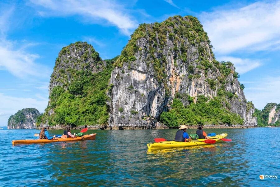Ha Long 1 Day Luxury Small Group & Kayaking - Who this tour is best for, and who should choose another option