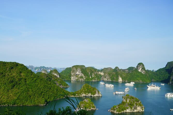 Ha Long Bay 1 Day Joined Luxury Tour - Your guide and the value of responsive organization