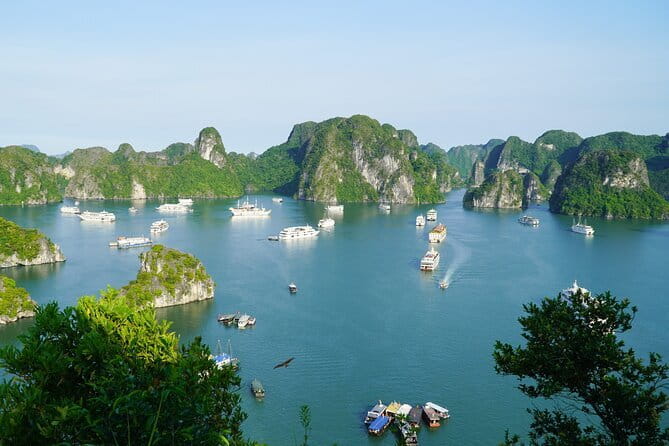 Ha Long Bay 1 Day Joined Luxury Tour - Tuan Chau Island: the quick launch point