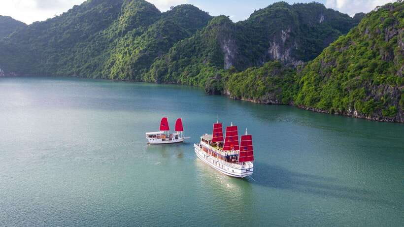 Ha Long Bay - Bai Tu Long Bay Luxury Boat Tour & Transfer - Late-day tea, free time, and the return to port