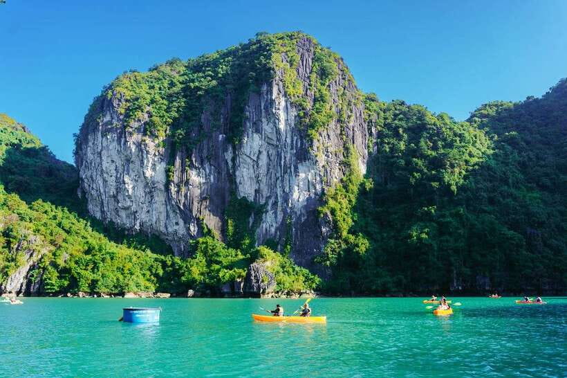 Ha Long Bay Day Trip with Best Price - Surprising Cave: stalagmites, stalactites, and sea-creature shapes