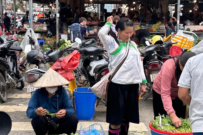 Ha Noi Car Transfer to Sapa or Vice Versa - Best fit: who this private transfer suits perfectly