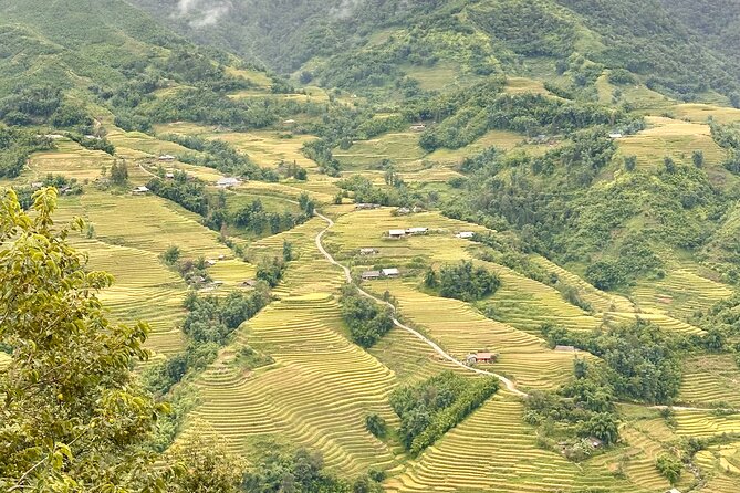 Ha Noi Car Transfer to Sapa or Vice Versa - What the pickup process feels like in real life