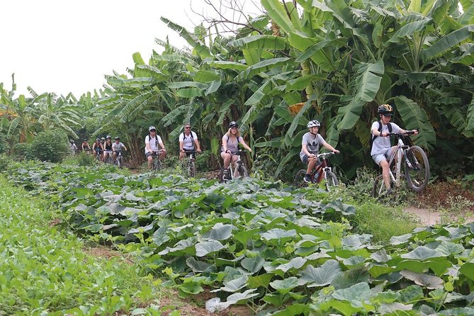 Half-Day Bicycle Tour Combine City & Countryside + Train Street - Duờng Tàu Train Street, centimeters from rails, living up close