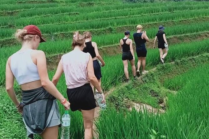 Half-Day Hometrek from Sapa with Hmong Sister House - Price and time: fitting a half-day into your Sapa plan