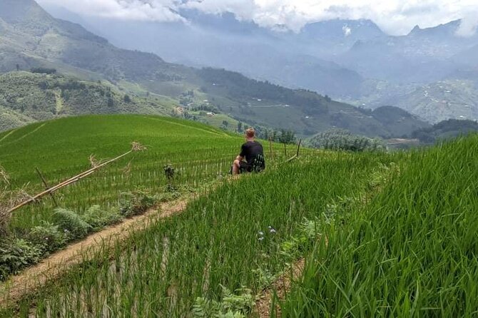 Half-Day Hometrek from Sapa with Hmong Sister House - Rice terraces and mountain views: where the magic usually happens