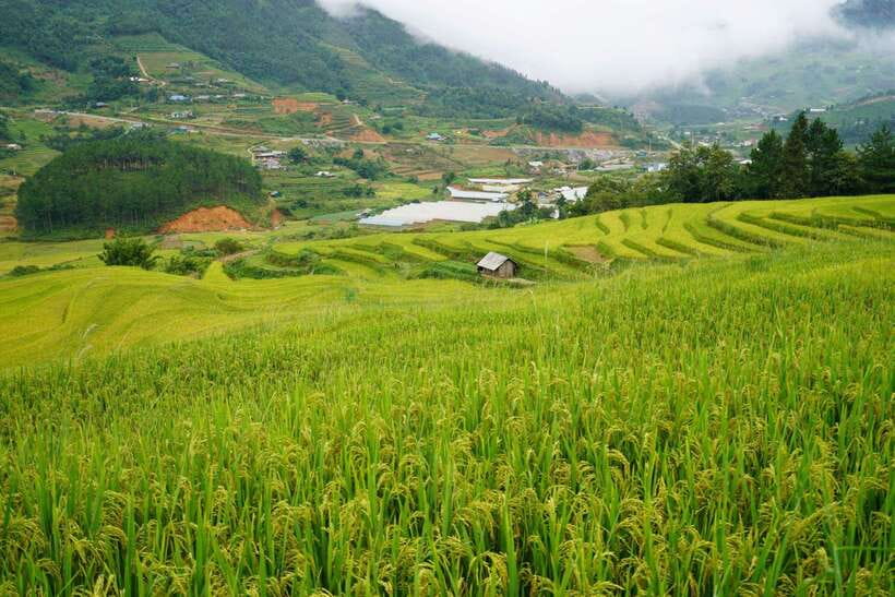 Half Day Sapa Trekking to Visit Lao Chai - Ta Van - Price and Value: What $22 Covers (and What You’ll Still Pay)