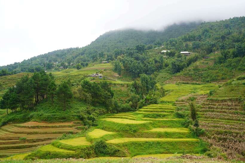 Half Day Sapa Trekking to Visit Lao Chai - Ta Van - Who This Half-Day Lao Chai and Ta Van Trek Is Best For