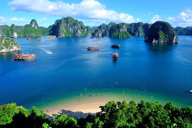 Halong Bay 2Days/1Night on 5 Star Cruise all included - Day 2 at Cat Ba: early Tai Chi, tea and coffee until 8 am, and morning energy